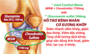 gluco msa.png